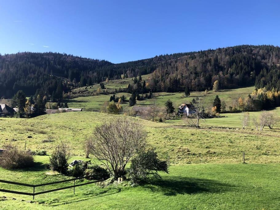Schwarzwald Loft * Menzenschwand