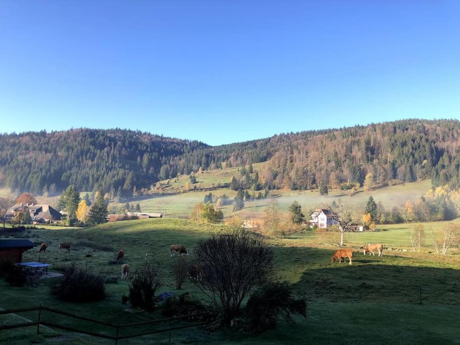Schwarzwald Loft Apartment Menzenschwand