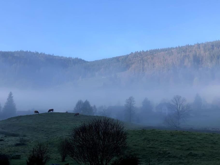 Schwarzwald Loft * Menzenschwand