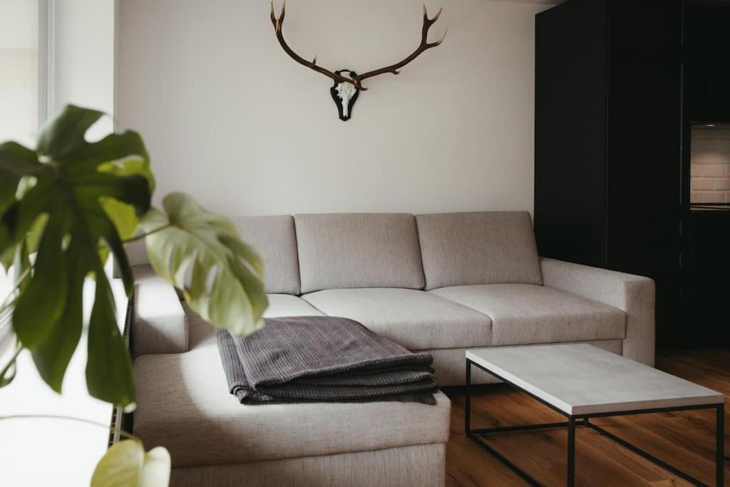 Apartment Schwarzwald Loft Menzenschwand